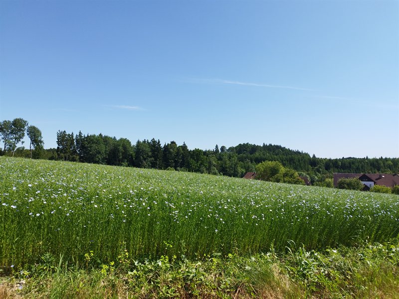 Farma Herba - foto 1