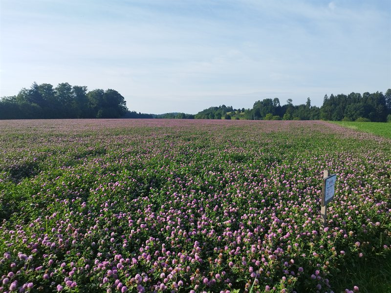 Farma Herba - foto 2